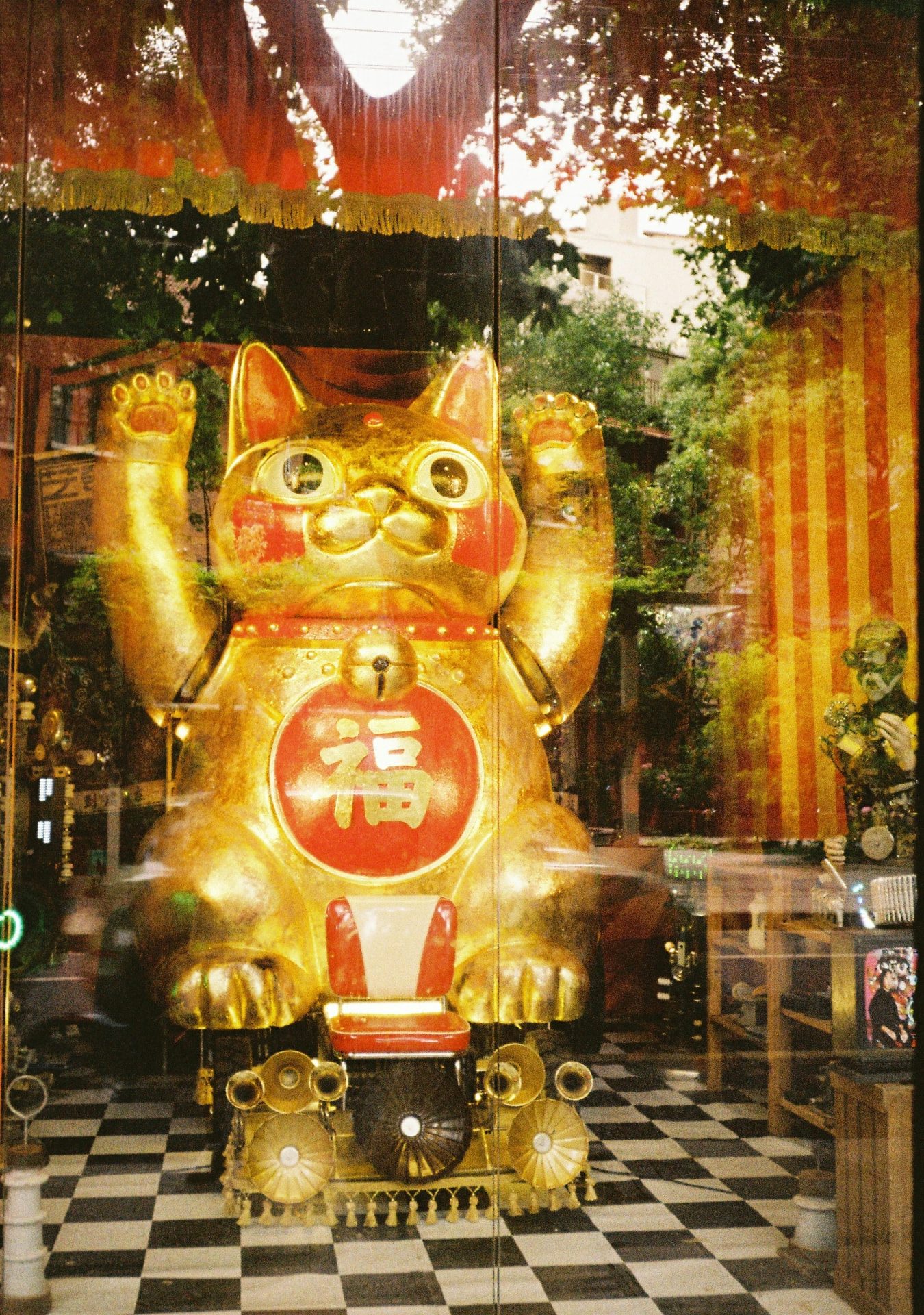 Goldene Winkekatze in einem Schaufenster