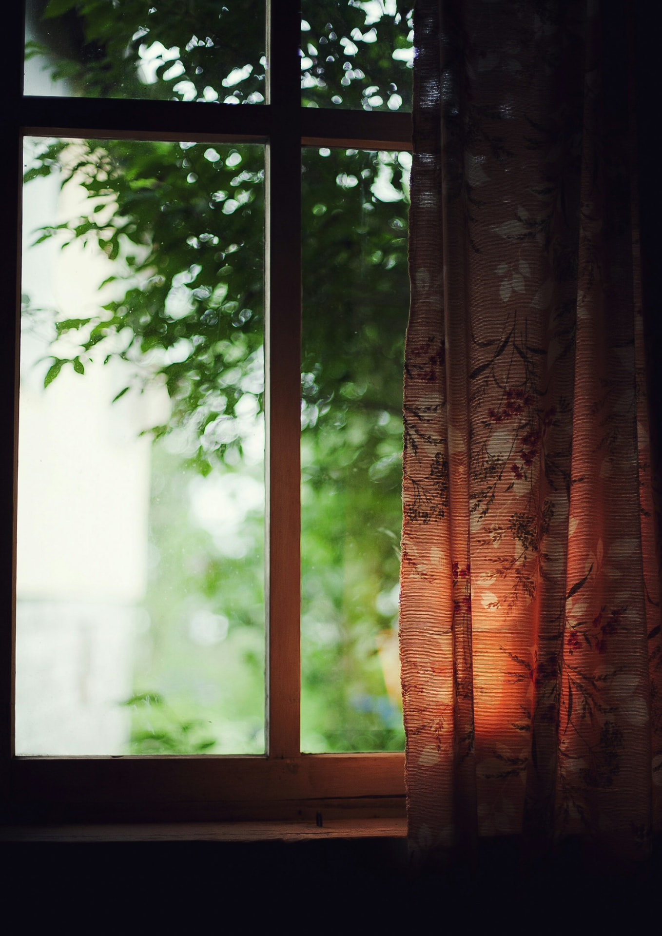 Ein dunkles Fenster mit gemustertem Vorhang und grünem Blätterwerk dahinter